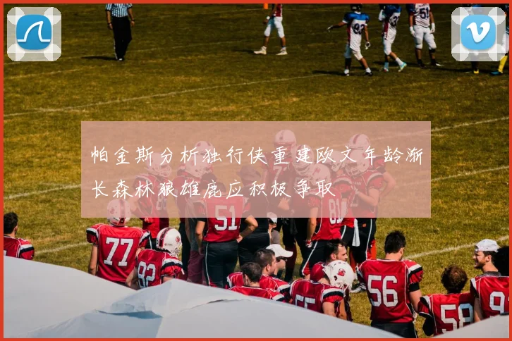 帕金斯分析独行侠重建欧文年龄渐长森林狼雄鹿应积极争取